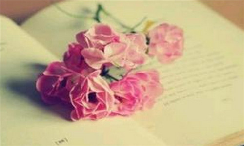 Ӌ*****оo23