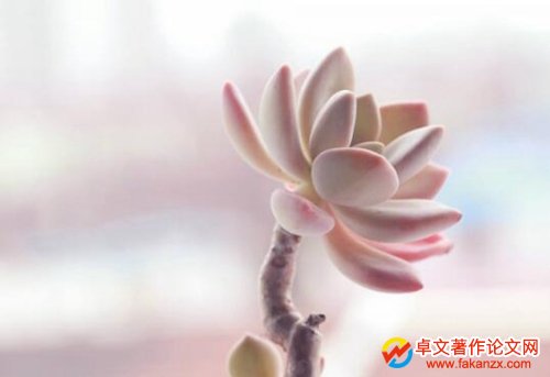kӡC(j)(sh)ÌD(zhun)׌
