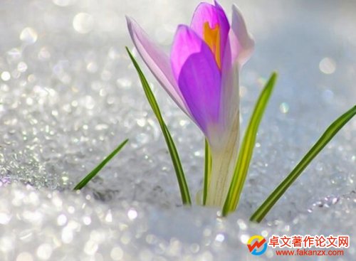 ¼gIJҪ