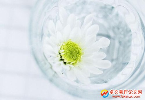 (gu)Ҽ(j)n}ڎ