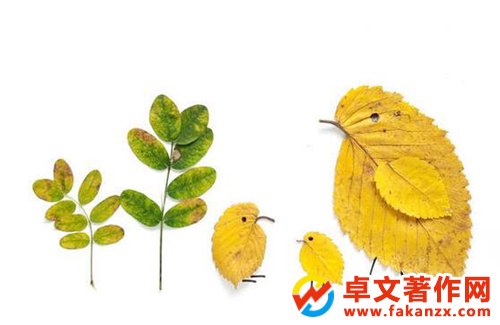 ֶھW(wng)ϲ鵽