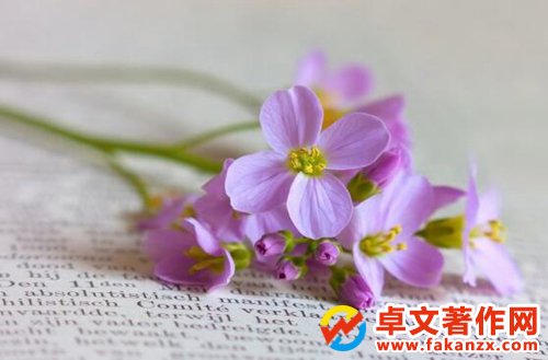 ώuQr(ji)