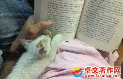 缉eԲԃ